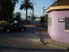 Arriendo por dias,semanas a�o nuevo