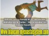 Asesor�asyServicios Profesionales a:INGENIERIAS Y PROYECTOS DE ELECTRICIDAD