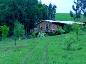 Maud Gittermann Anuncios de Propiedades en Temuco |  Arriendo parcela, Naturaleza,Aire puro,mejor calidad de vida,privacidad.