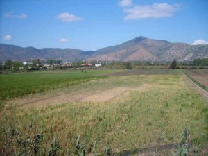 Luis Anuncios de Propiedades en Hijuelas |  Vendo en Hijuelas. Vende Parcela de Agro en Hijuelas. Se venden 6 Hreas., Vendo parcela de Agro en Hijuelas, Quinta regi&oacute;n. con primeras aguas de reg