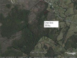 Carlos Stumpfoll Anuncios de Propiedades en Ancud |  Vendo dos campos en Chiloe, Ancud, La zona menos contaminada del mundo