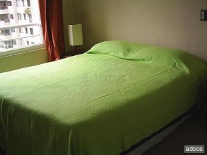  Anuncios de Propiedades en Santiago |  ARRIENDO DEPARTAMENTOS AMOBLADOS(dias,semanas). STGO. CENTRO, Santa Victoria con Portugal�METRO UNIV. CATOLICA