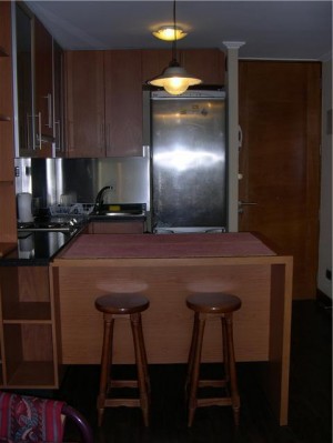 JESSICA Rentacasas Anuncios gratis en Santiago |  DEPARTAMENTO FULL AMOBLADO,  en metro pedro de valdivia