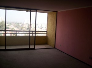 NELLY HADDAD Anuncios de Propiedades en San Miguel |  VENDO DEPARTAMENTO LLANO SUBERCASEAUX UNICO DUE&Ntilde;O, OPORTUNIDAD, EXELENTE DE, CERCANO AL METRO SAN MIGUEL, LINEA 2