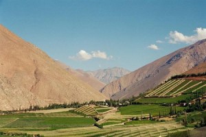 MARIA TERSA Anuncios de Propiedades en Pisco Elqui |  PISCO ELQUI, VENDO 3 CABA&Ntilde;S, CABA&Ntilde;AS ESPECIAL PARA NEGOCIO TURISTICO