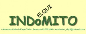 Paulina Baltara  Anuncios de Propiedades en Pisco Elqui |  INDOMITO ELQUI, hermoso lugar con rio , solo una caba&ntilde;a en 10.000mt2