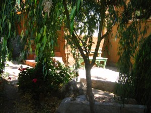  teresa Anuncios de Propiedades en Pisco Elqui |  Casa, se arrienda por d&iacute;as y meses, Pisco Elqui casa por dias o meses