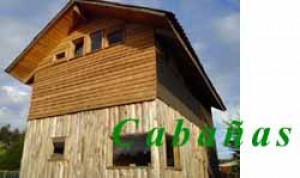Rodrigo Anuncios de Propiedades en Horc&oacute;n |  Arriendo de Caba&ntilde;as en la Playa de Horcon, tambien arriendo de casas, departamentos, piezas y camping