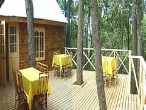 ana maria aguilera Anuncios de Propiedades en Vilches |  se arrienda comoda caba&ntilde;a fuera de la ciudad ubicada en vilches, con capacidad para 8 personas