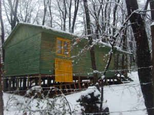 M.Eugenia Bernales C. Anuncios de Propiedades en Vilches |  vendo caba&ntilde;a, vilches alto