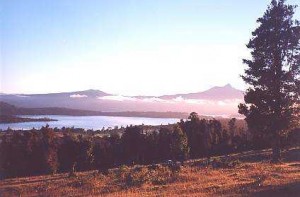 Armin D�bendorfer Anuncios de Propiedades en Puerto Octay |  Parcela 8ha. con espectacular vista al Lago Rupanco, Sector R&iacute;o Bonito