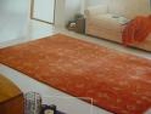 carlos  Anuncios de Propiedades en Quilpu&eacute; |  LIMPIEZA DE ALFOMBRAS EN QUILPUE BELLOTO VILLA ALEMANA VI&Ntilde;A DEL MAR RE&Ntilde;ACA , LIMPIEZA DESMANCHADO SANITIZADO DE ALFOMBRAS MURO A MURO PRECIOS ECONOMICOS