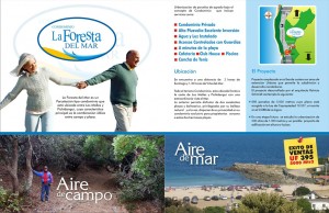 JACKIE MOORE Anuncios de Propiedades en Los Molles |  PARCELAS VISTA AL MAR, TERRENOS 5.000 M2 VISTA AL MAR