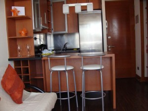 ANGELICA Anuncios de Propiedades en Providencia |  $ 21.000 desde deptos amoblados en providencia, BUENOS BONITOS Y BARATOS