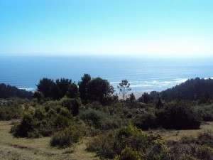  Rentacasas Anuncios gratis en Valdivia |  maravillosa vista bahia maiquillahue, parcela provincia valdivia, mirador , 