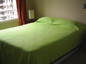  Anuncios de Propiedades en Santiago |  Arriendo Departamentos Amoblados.(D&iacute;as,semanas) Stgo centro, METRO UNIVERSIDAD CATOLICA