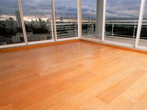 ISABEL Anuncios de Propiedades en Santiago |  LIMPIEZA PISOS FLOTANTES - 7274297, FACILIDADES DE PAGO - Eliminamos ceras pegadas - GARANTIZADO