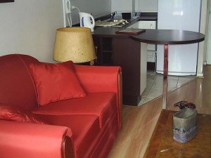  Anuncios de Propiedades en Santiago |  ARRIENDO DEPARTAMENTOS AMOBLADOS EN STGO centro  por d&iacute;as 2 ambientes.-, VER FOTOS EN P&Aacute;GINA WEB. Metro universidad cat&oacute;lica