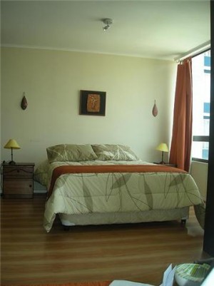  Anuncios de Propiedades en Santiago |  ARRIENDO DEPARTAMENTOS AMOBLADOS EN STGO centro  por d&iacute;as 2 ambientes.-, VER FOTOS EN P&Aacute;GINA WEB. Metro universidad cat&oacute;lica