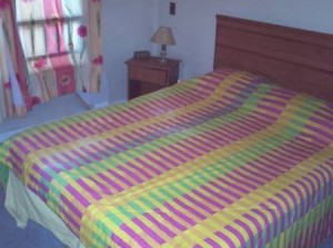 SUSANA Anuncios de Propiedades en Santiago |  ARRIENDO DEPARTAMENTO DIARIO AMOBLADO  SANTIAGO CENTRO., 1 AMBIENTE