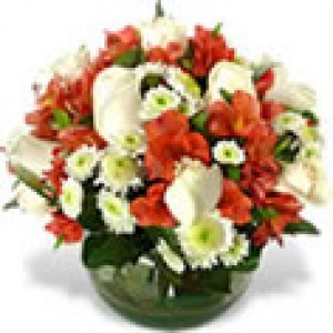 Floreria Rosalinda Anuncios de Propiedades en Independencia |  Env&iacute;o de Flores a Domicilio, Rosas Ecuatorianas, Ramos de Flores, Arreglos , www.rosalinda.cl