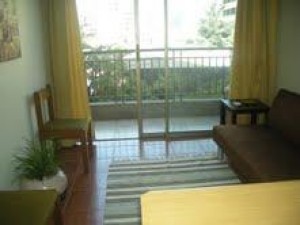  Anuncios de Propiedades en Santiago |  ARRIENDO DEPARTAMENTOS AMOBLADOS EN SANTIAGO de CHILE  Impecable Stgo centr, Metro Baquedano, Limite providencia, Stgo centro