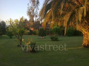 Guiselle Navarrete Anuncios de Propiedades en Talagante |  Vendo parcela de 1 hect&aacute;rea con 2 casas en Talagante. , CL$230.000.000 