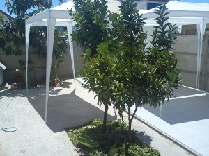 NAS Anuncios de Propiedades en Coquimbo |  ARRIENDO PIEZAS A ESTUDIANTES MARZO A DICIEMBRE COQUIMBO, ACCESO LOCOMOCION