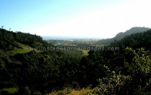 Francisco Anuncios de Propiedades en Puerto Montt |  VENTA DE TERRENOS EN LA REGI&Oacute;N DE LOS LAGOS, Parcelas, Terrenos, Sitios