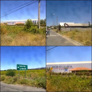 julio  Anuncios de Propiedades en Curic&oacute; |  Gran  Oportunidad, vendo terreno  