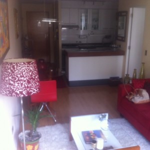 christelle Anuncios de Propiedades en Santiago |  Arriendo amplio dpto completamente amoblado - 60 m2, Muy bonito - amapolas 4151