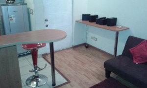 Loreto Pavez MArtin Anuncios de Propiedades en Santiago |  Minimo 2 noches arriendo departamento amoblado en santiago centro, Departamentos por dias santiago centro