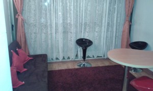 Loreto Pavez Anuncios de Propiedades en Santiago |  Arriendo departamento amoblado vicu&ntilde;a mackenna metro santa isabel, Departamentos amoblados en santiago centro