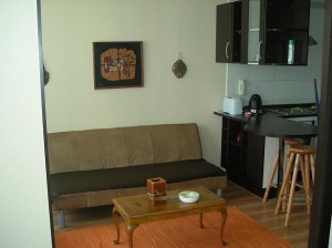 carmen Anuncios de Propiedades en Santiago |  Arriendo departamentos amoblados en santiago centro por dias, Metro univ catolica, lira marin