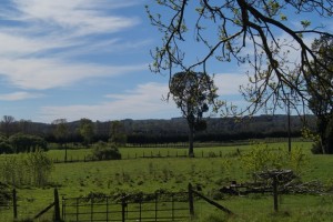 ventaspropiedades@empresascima.com Anuncios de Propiedades en Purranque |  Parcela de agrado, hermoso lugar para vivir, purranque, osorno, Hermoso lugar para vivir y para veranear. cerca de osorno
