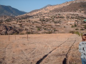 Gloria Anuncios de Propiedades en Llay-Llay |   Vendo Parcela 5000 mt2. km 68 Ruta 5 Norte, Entrada por via Retorno a Stgo, Cercano a LLayLLay